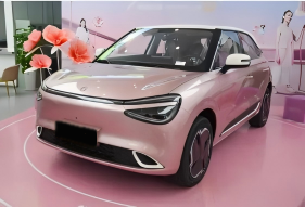 DONGFENG BOX EV suppliers